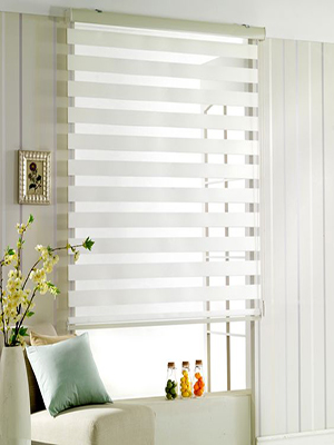 Duplex Blind Curtain from Royal Decor, Mumbai